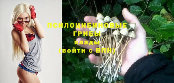 ALPHA-PVP Болхов