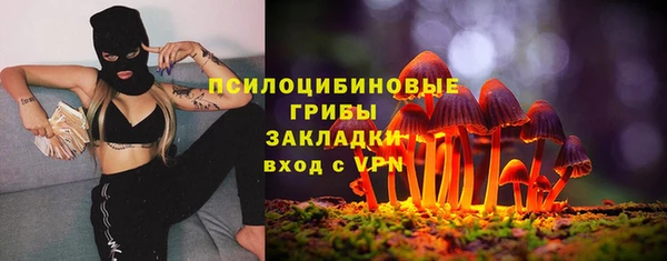 ПСИЛОЦИБИНОВЫЕ ГРИБЫ Алексеевка