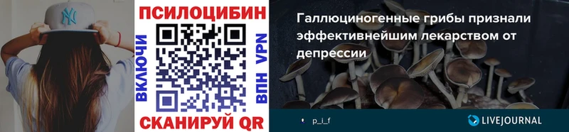 MEGA сайт  даркнет наркотические препараты  Галлюциногенные грибы ЛСД  Грязовец 